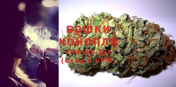 тгк Бородино