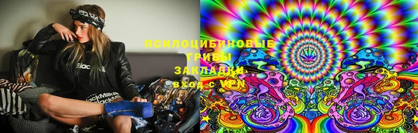 ALPHA PVP Верея